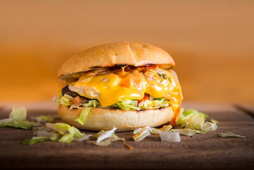 Chesseburger Fotografie