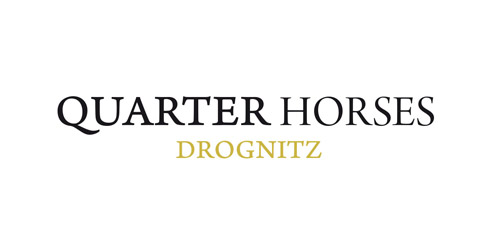 Logodesign für Pferdehaendler