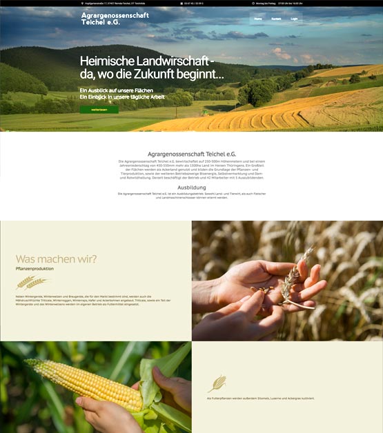 webdesign für Agrarbetrieb