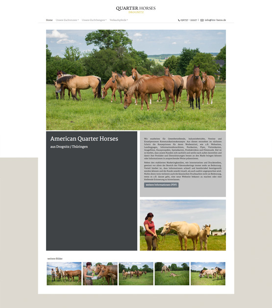 webdesign für Pferdehändler