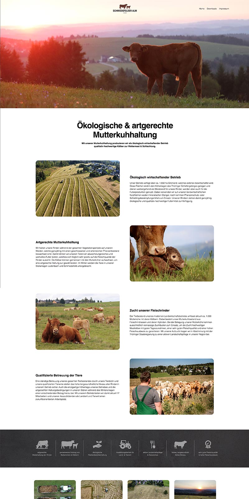 schmiedefelder-alm-gmbh